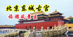 黑人猛男大屌插泰国熟妇中国北京-东城古宫旅游风景区
