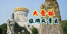嗯啊好粗白浊视频中国浙江-绍兴大香林旅游风景区